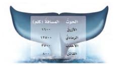 الحوت الأزرق